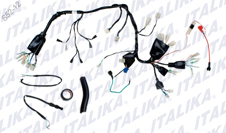 [F06050025] ARNES PRINCIPAL