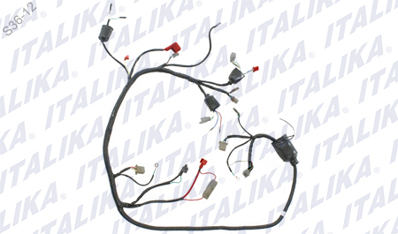 [F06050036] ARNES PRINCIPAL