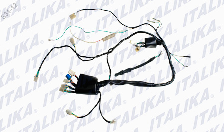 [F06050044] ARNES PRINCIPAL