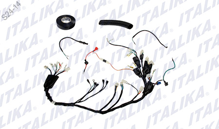 [F06050046] ARNES PRINCIPAL