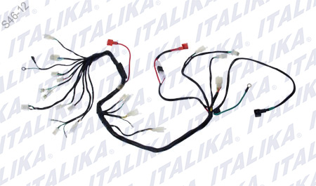 [F06050047] ARNES PRINCIPAL