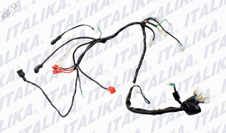 [F06050051] ARNES PRINCIPAL