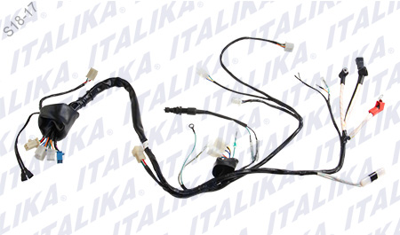 [F06050054] ARNES PRINCIPAL