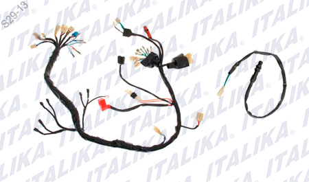 [F06050055] ARNES PRINCIPAL