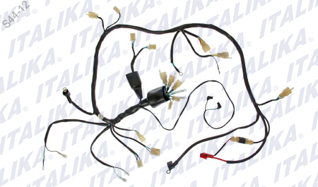 [F06050057] ARNES PRINCIPAL