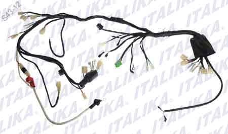 [F06050059] ARNES PRINCIPAL