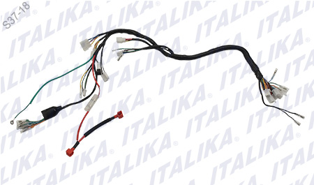 [F06050060] ARNES PRINCIPAL