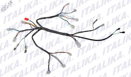 [F06050062] ARNES SECUNDARIO