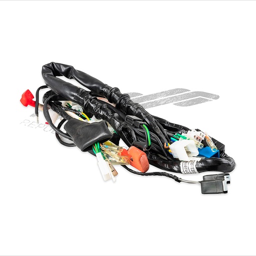 [F06050070] ARNES PRINCIPAL