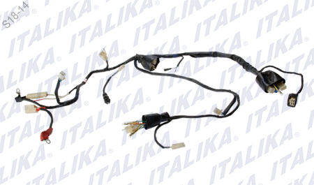 [F06050076] ARNES PRINCIPAL