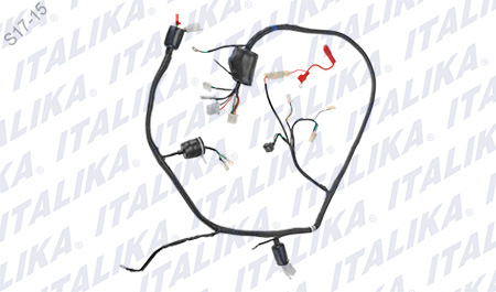 [F06050088] ARNES PRINCIPAL