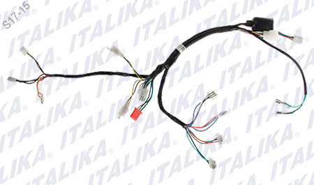 [F06050089] ARNES SUPLEMENTARIO DEL