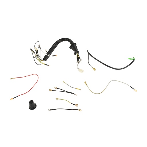 [F06050091] ARNES PRINCIPAL