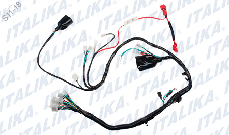 [F06050099] ARNES PRINCIPAL