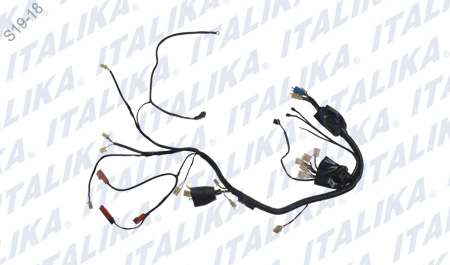 [F06050106] ARNES PRINCIPAL