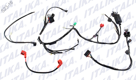 [F06050112] ARNES PRINCIPAL