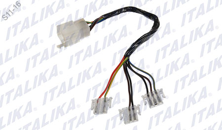 [F06050115] ARNES SUPLEMENTARIO DER