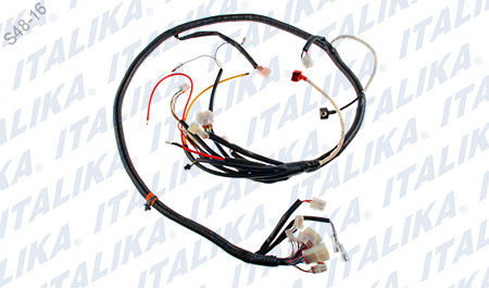 [F06050125] ARNES PRINCIPAL