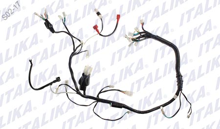 [F06050133] ARNES PRINCIPAL