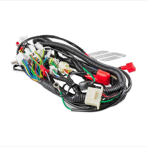 [F06050135] ARNES PRINCIPAL