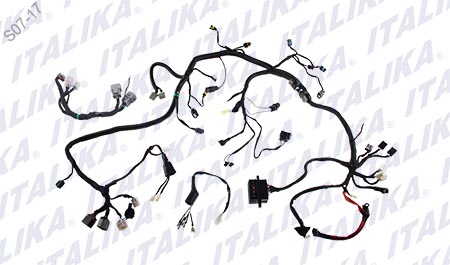 [F06050136] ARNES PRINCIPAL