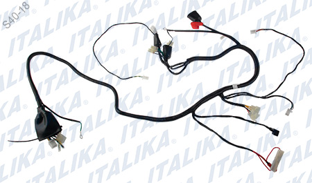 [F06050137] ARNES PRINCIPAL