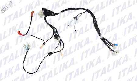 [F06050149] ARNES PRINCIPAL