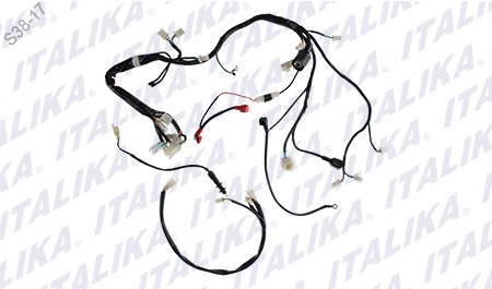 [F06050152] ARNES PRINCIPAL