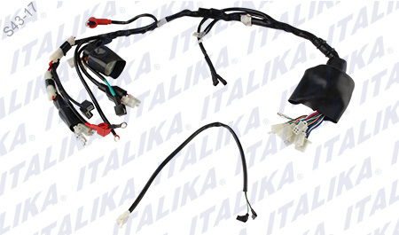 [F06050154] ARNES PRINCIPAL