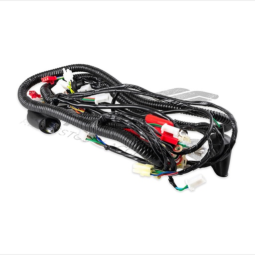 [F06050155] ARNES PRINCIPAL