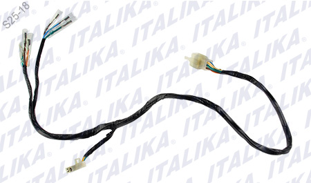 [F06050171] ARNES AUXILIAR