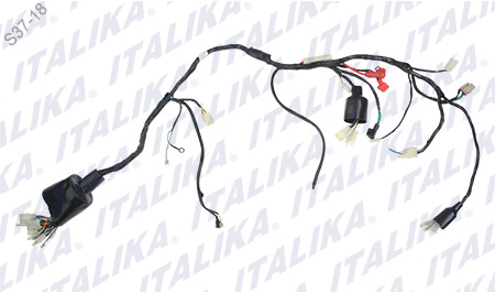 [F06050178] ARNES PRINCIPAL