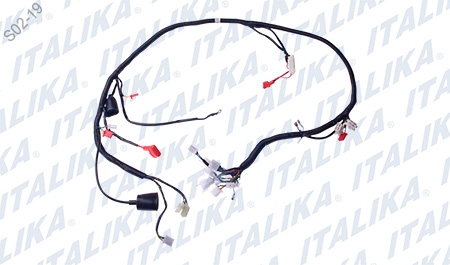 [F06050183] ARNES PRINCIPAL