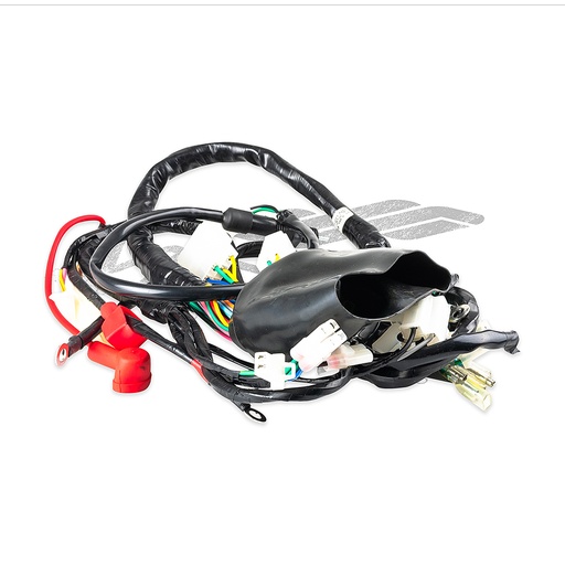 [F06050189] ARNES PRINCIPAL