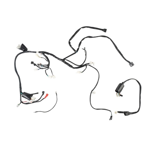 [F06050190] ARNES PRINCIPAL