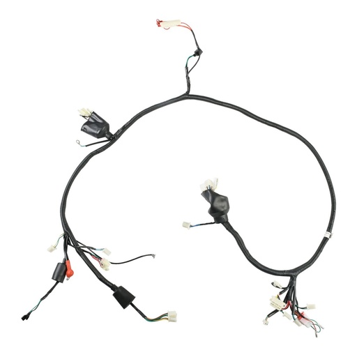 [F06050193] ARNES PRINCIPAL