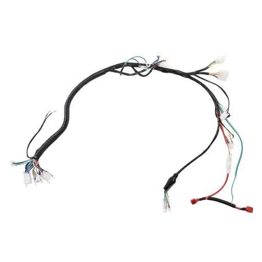 [F06050197] ARNES PRINCIPAL