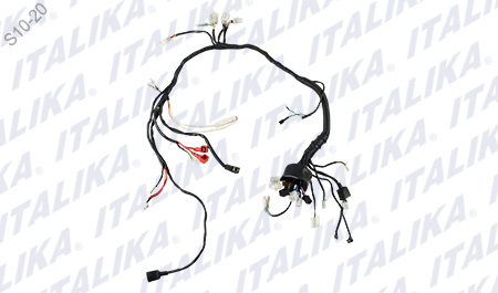 [F06050202] ARNES PRINCIPAL