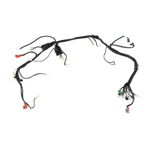 [F06050205] ARNES PRINCIPAL