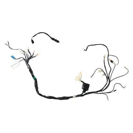 [F06050207] ARNES PRINCIPAL