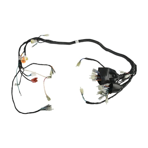 [F06050211] ARNES PRINCIPAL