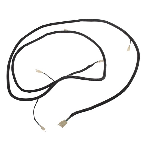 [F06050212] ARNES LUCES TRAS