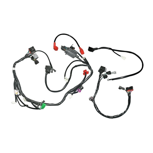 [F06050213] ARNES PRINCIPAL