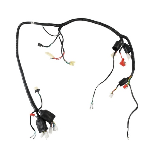 [F06050214] ARNES PRINCIPAL