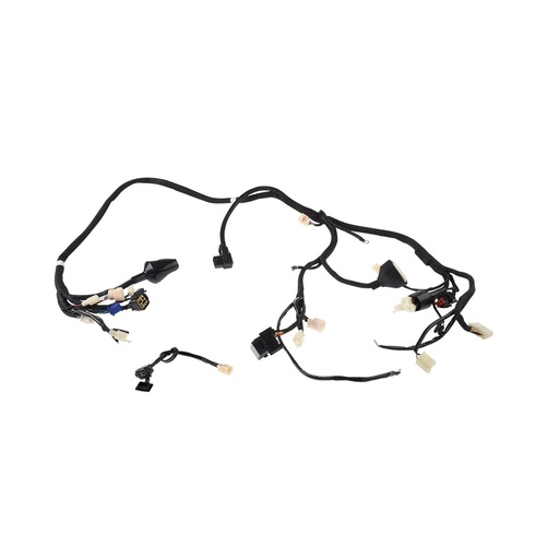 [F06050215] ARNES PRINCIPAL