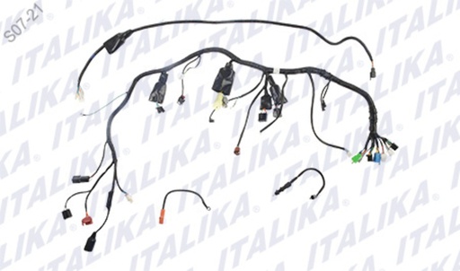 [F06050222] ARNES PRINCIPAL