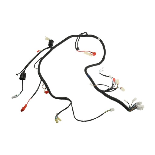 [F06050224] ARNES PRINCIPAL