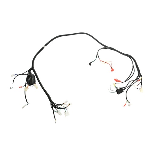 [F06050227] ARNES PRINCIPAL