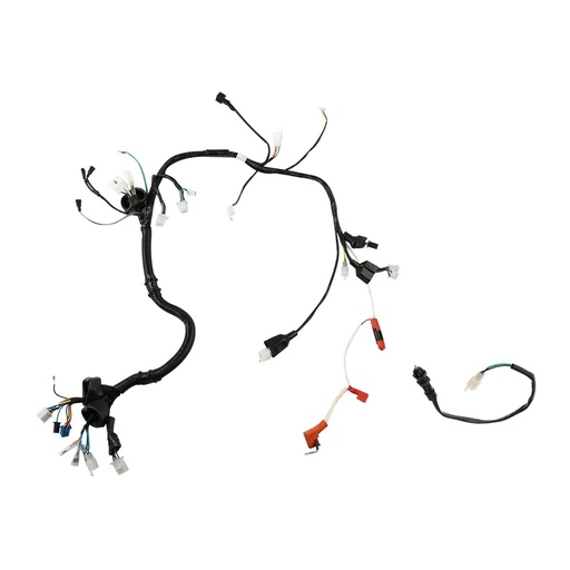 [F06050231] ARNES PRINCIPAL