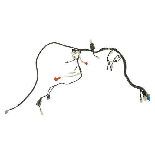 [F06050234] ARNES PRINCIPAL